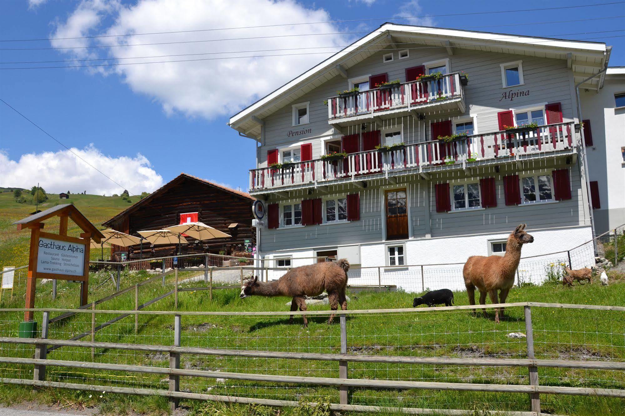 Gasthaus Alpina Tschappina Dış mekan fotoğraf